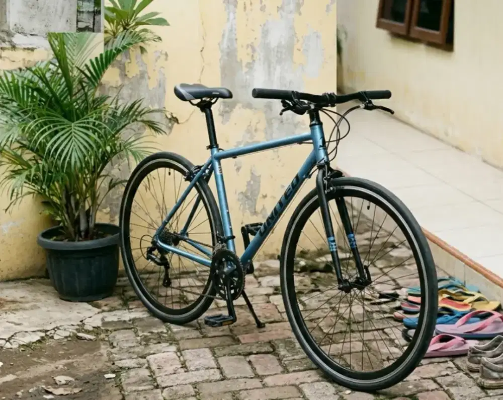 Sepeda united slick 700