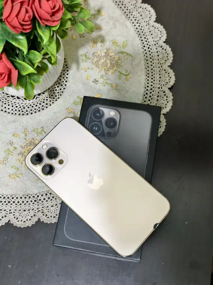 Iphone 13 pro max 128 gb