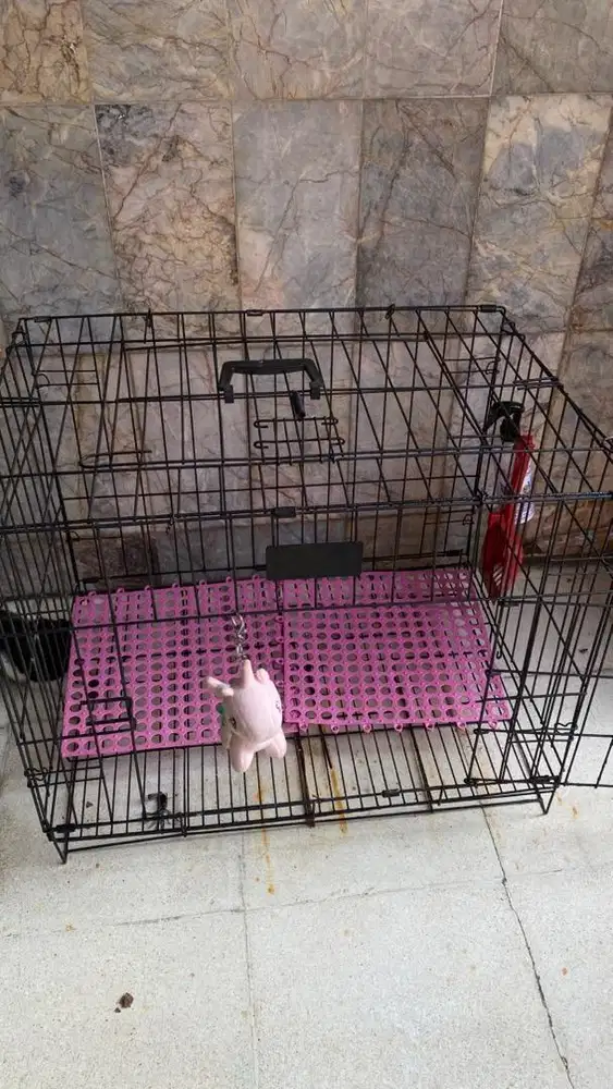 Dijual Murah Kandang.