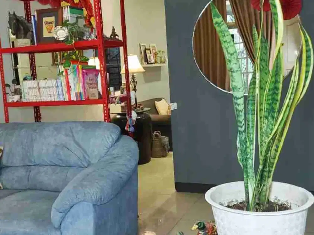 Rumah Kembar Mas Jual Cepat Terawat Indah
