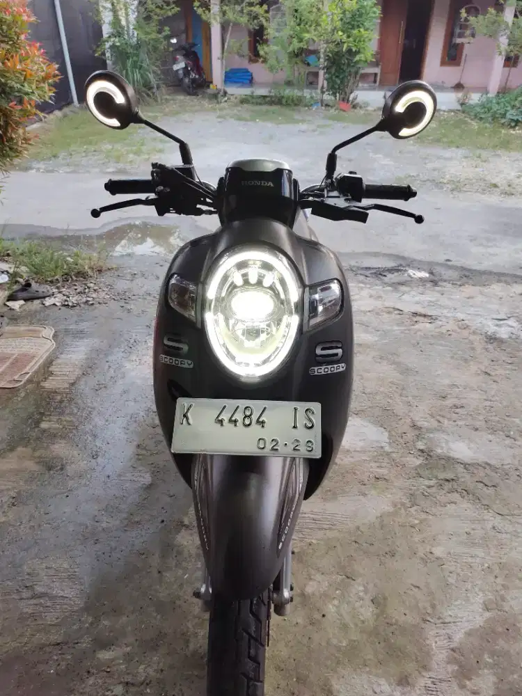SCOOPY BROWN 2019