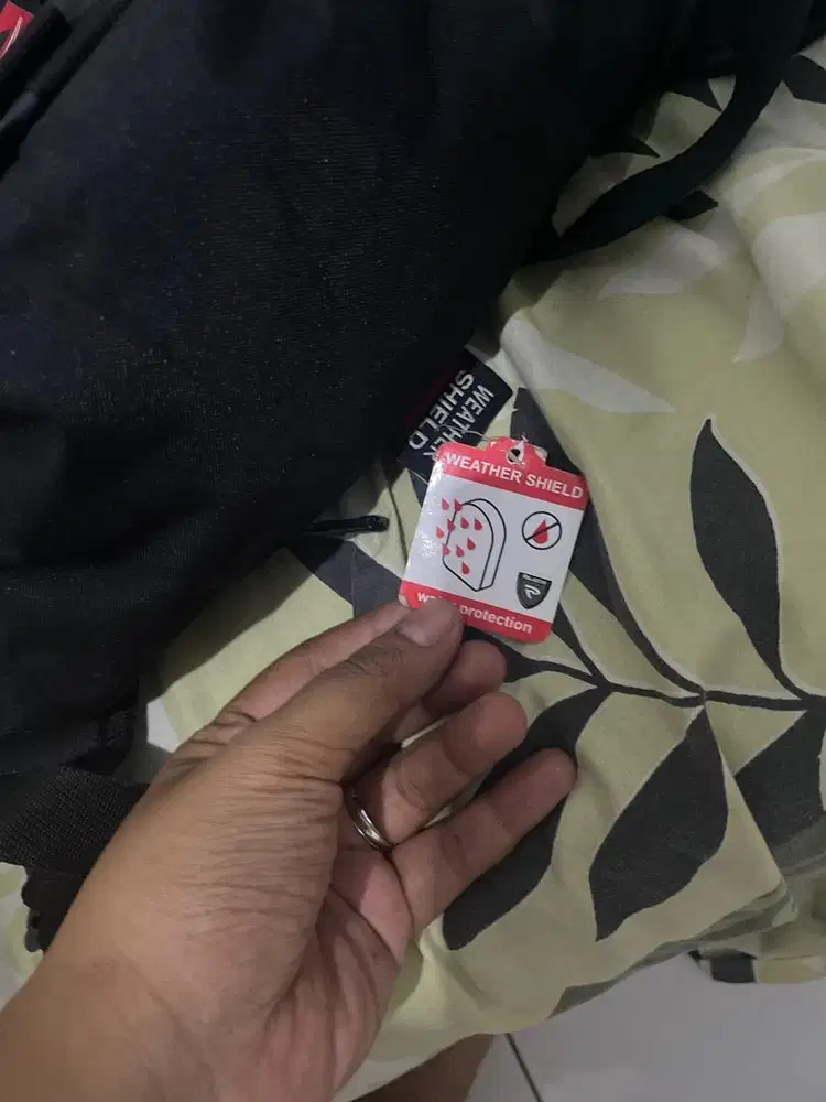 tas palazo baru