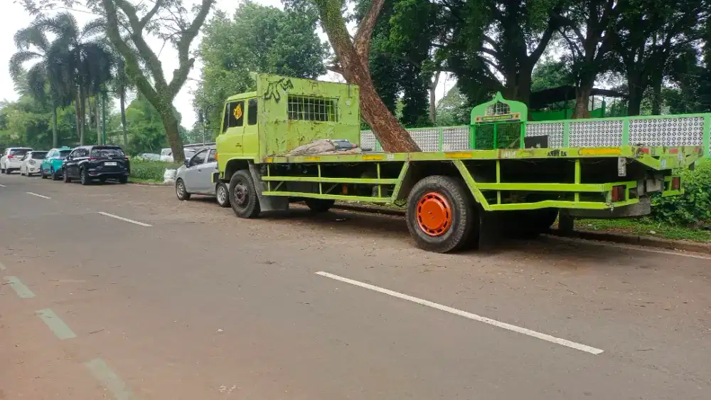 Hino rangger hijau