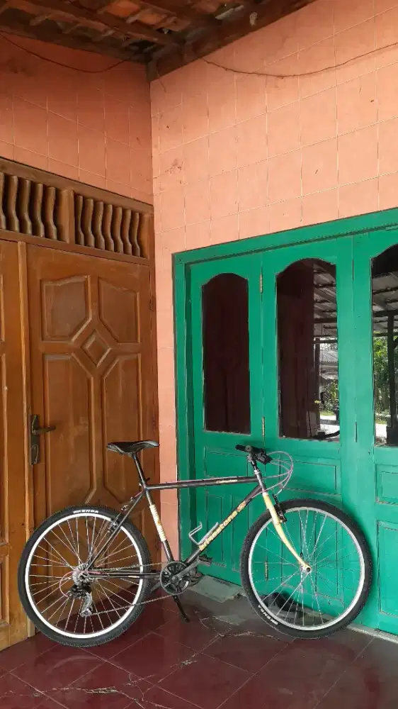 SEPEDA BRIGESTONE JADUL KALCER STYLE / COMMUTER BIKE