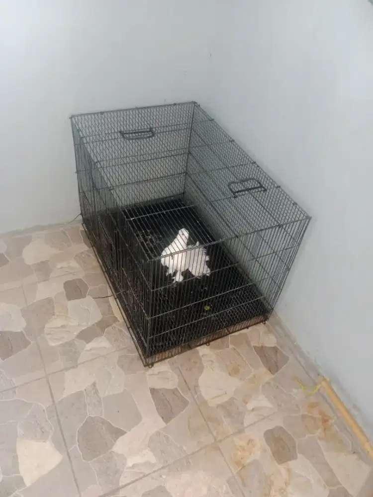 Kurungan kandang lipat hewan