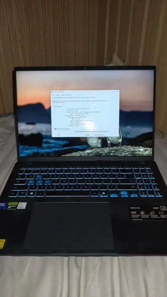 ASUS Gaming V16 (RTX 5060 / Core 7 240H)