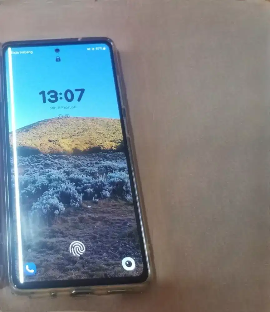LCD samsung s20fe copotan