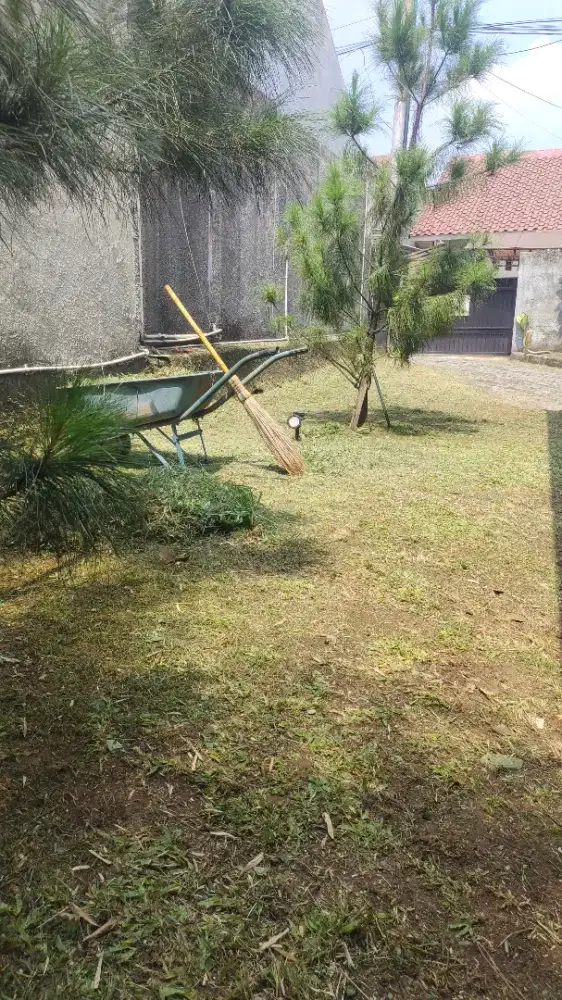 Jasa potong rumput