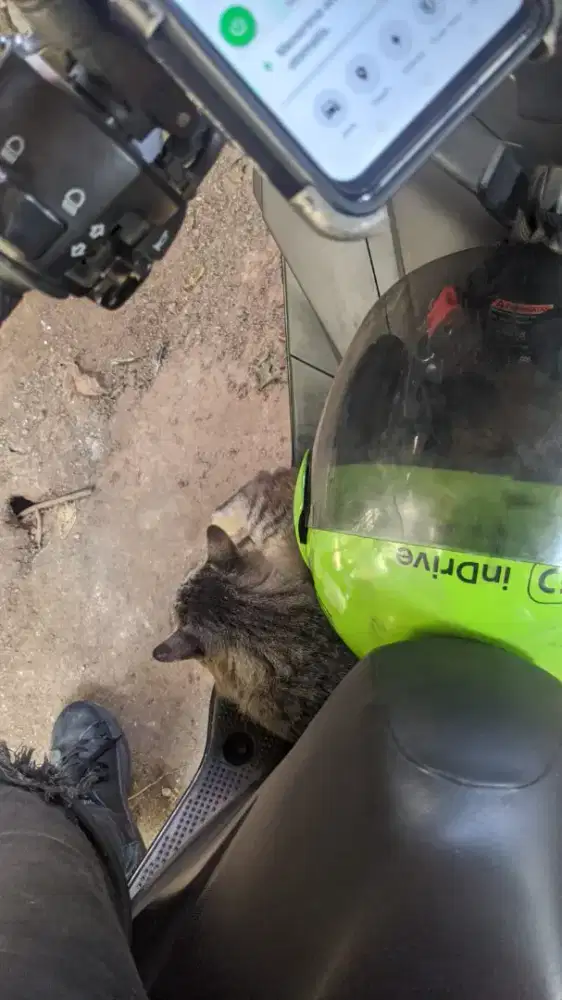 Jasa ojek langganan
