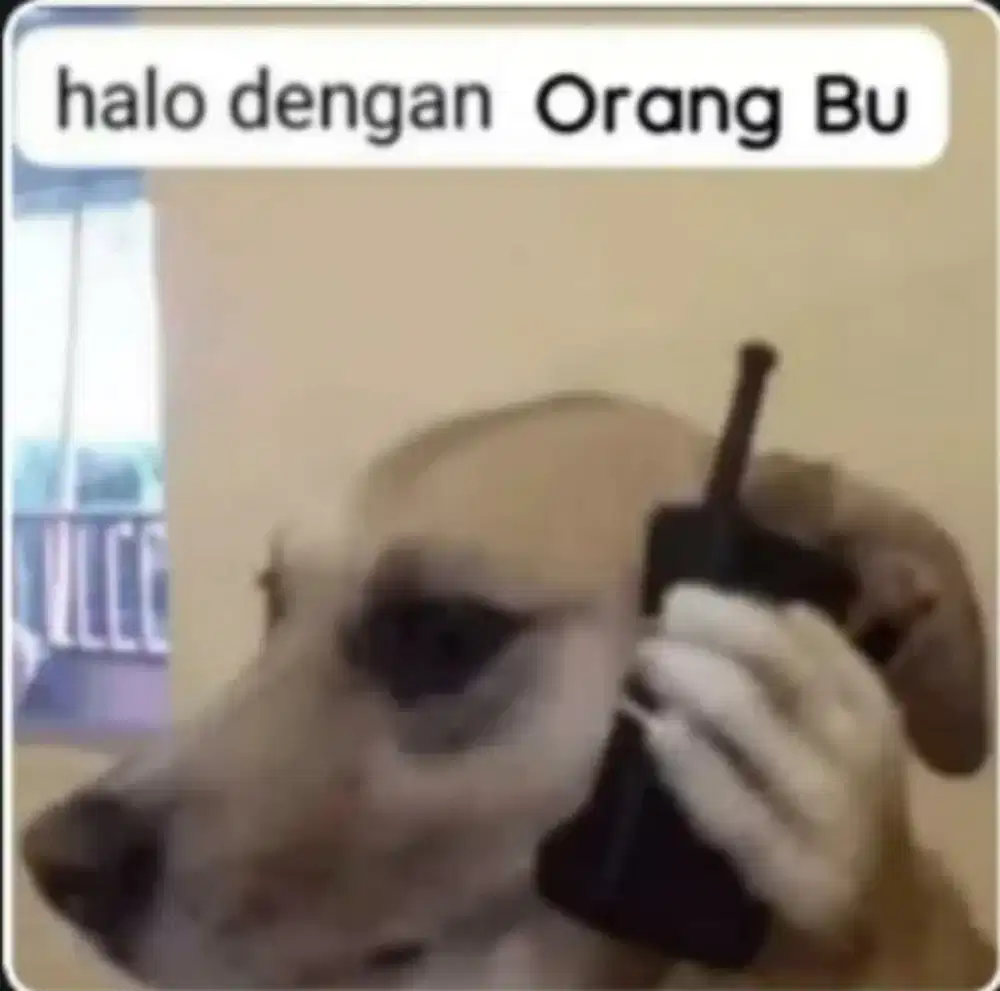 Cari kerja info