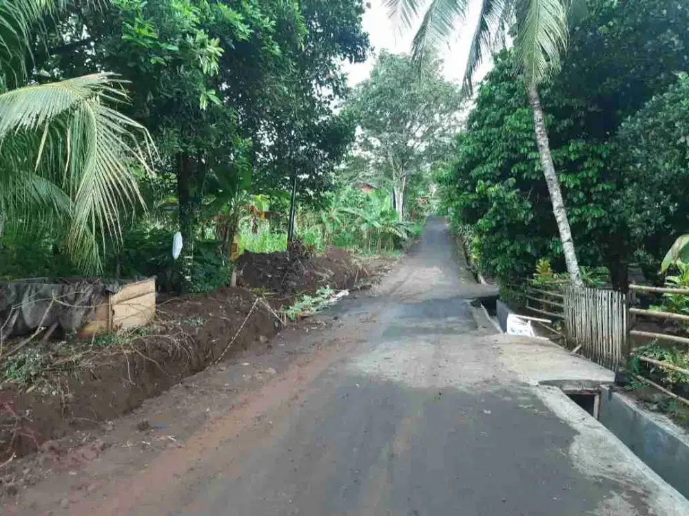 DIJUAL CEPAT TANAH CANTIK DAN MENARIK DAERAH MALALAYANG, HARGA SANGAT MURAH