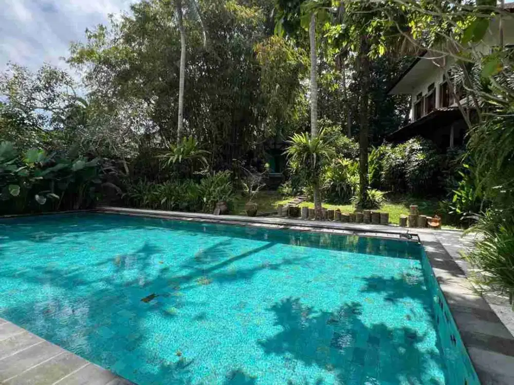 Buc Villa 3Unit LT 25Are Pool,Garden Luas Tumbak Bayuh Dkt Canggu - Thumbnail 10