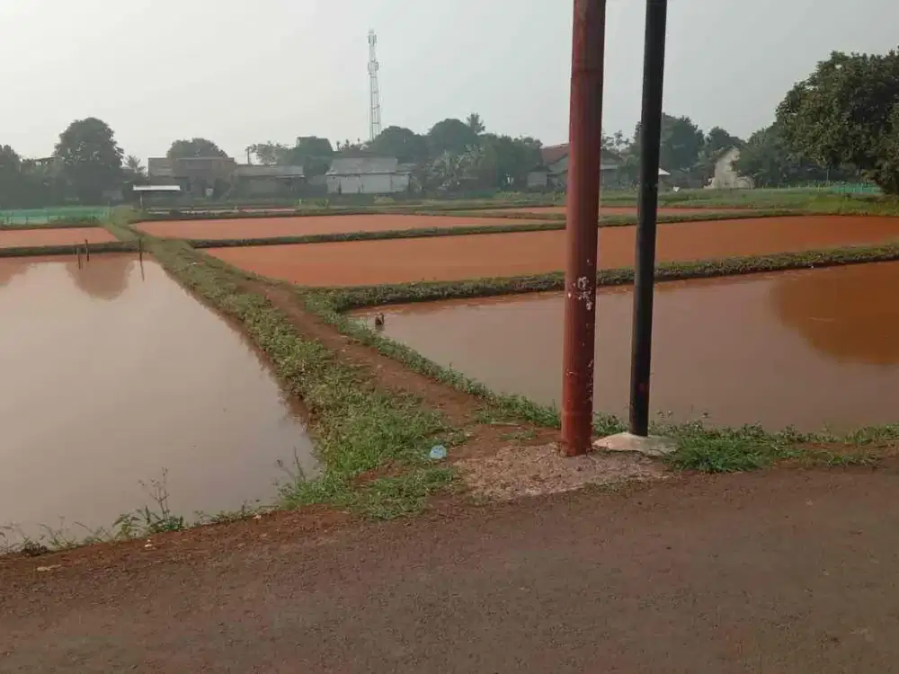 TANAH EMPANG MURAH DEKAT JALAN RAYA LOKASI STRATEGIS LETAK JALAN DESA DI KECAMATAN CISEENG BOGOR