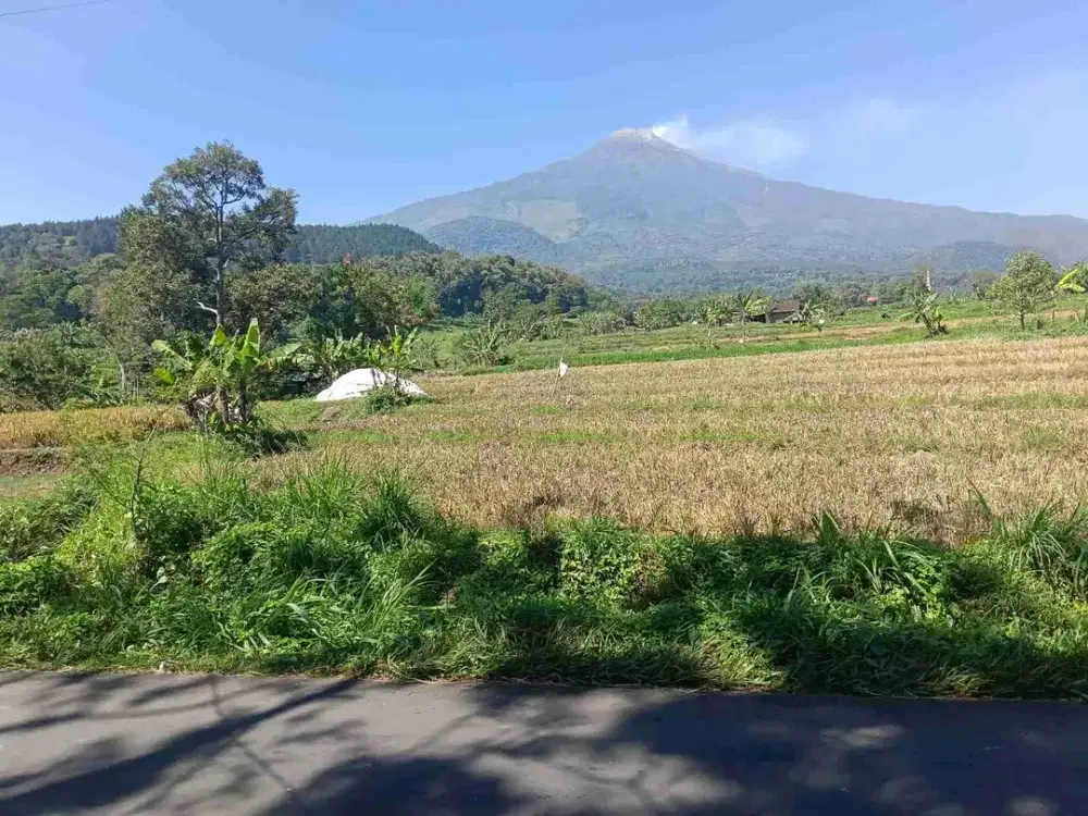 Di jual tanah murah view gunung pacet b.u