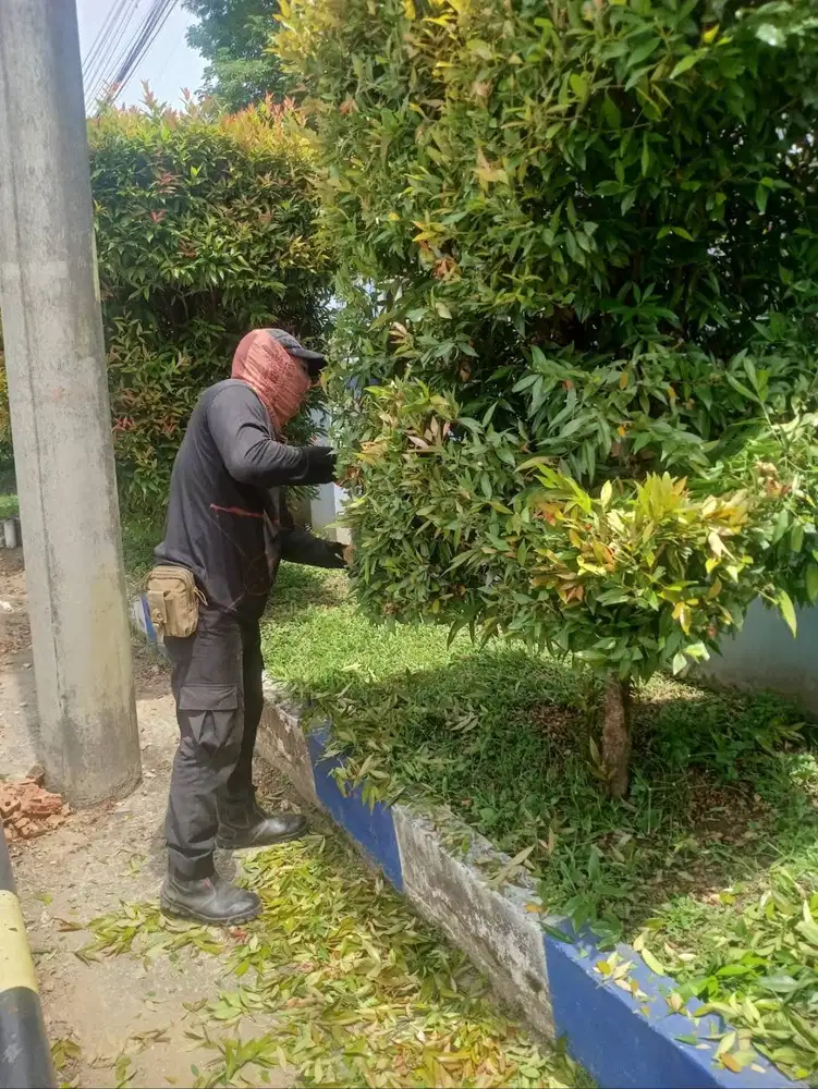 Cari pekerjaan gardener