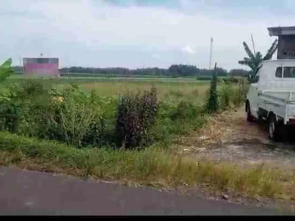 jual tanah murah harga di bawah pasar bagus untuk usaha ,rumah hunian di sekoto- Badas- kediri - jatim