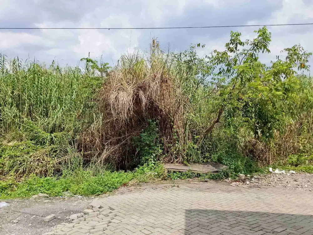 Dijual tanah dibawah harga pasar