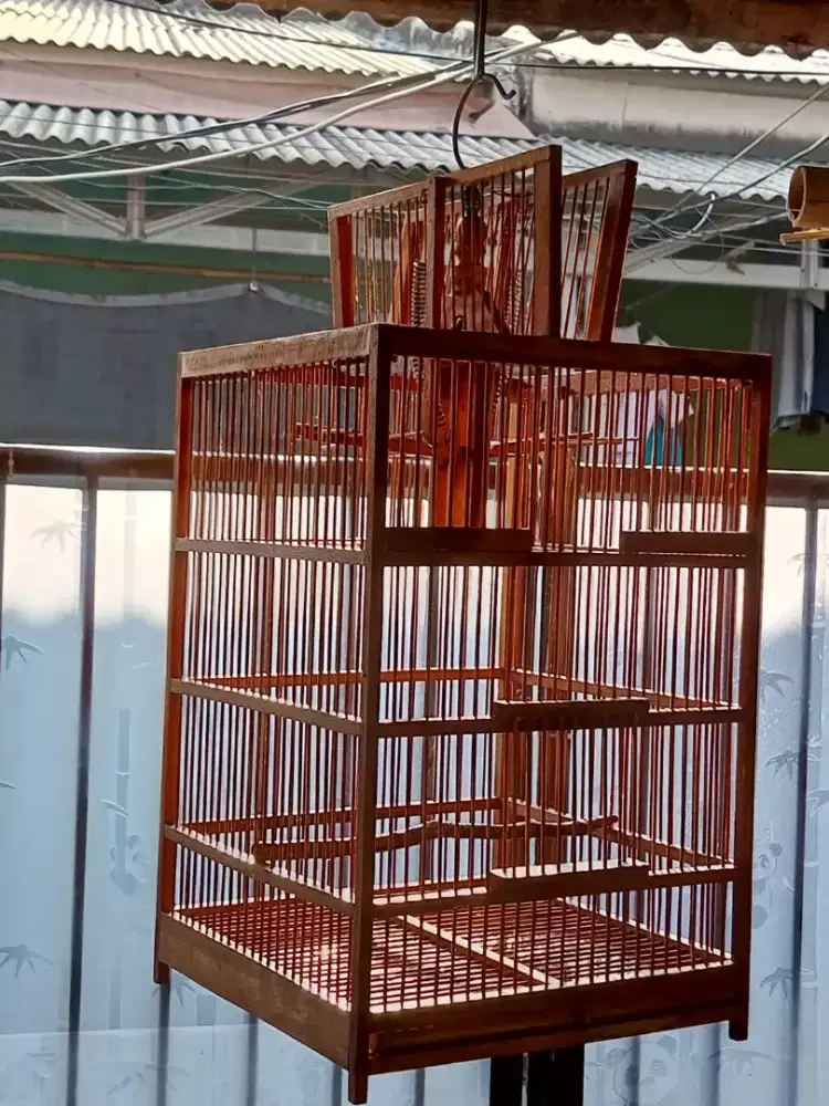 kandang jebak burung