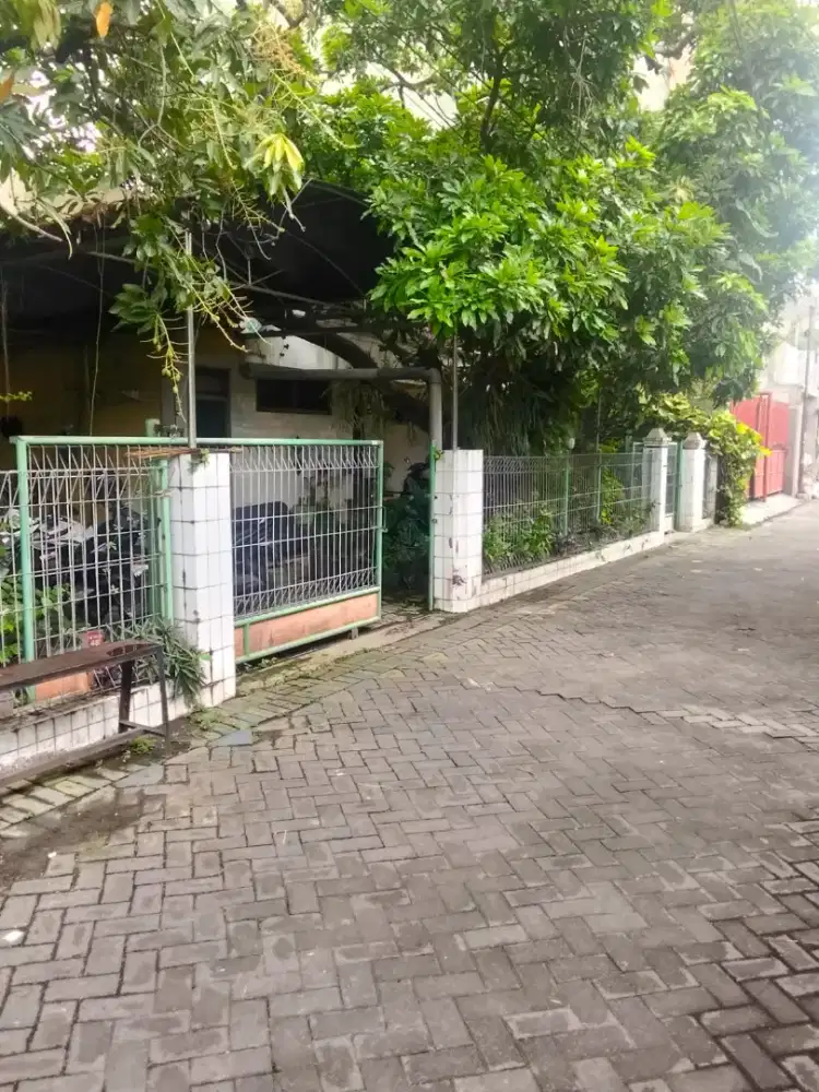 Obral murah kalikepiting jaya perak krembangan tambaksari pacarkembang