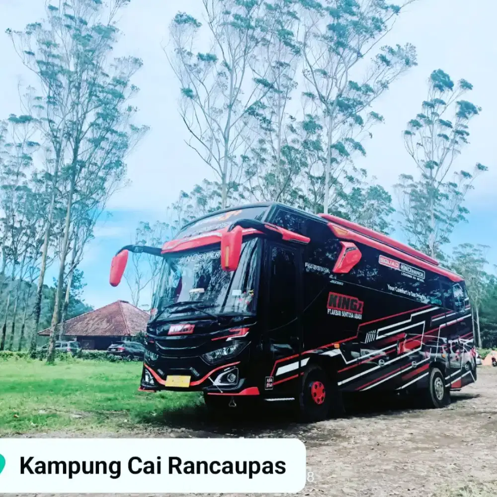 Bus medium 35 seat