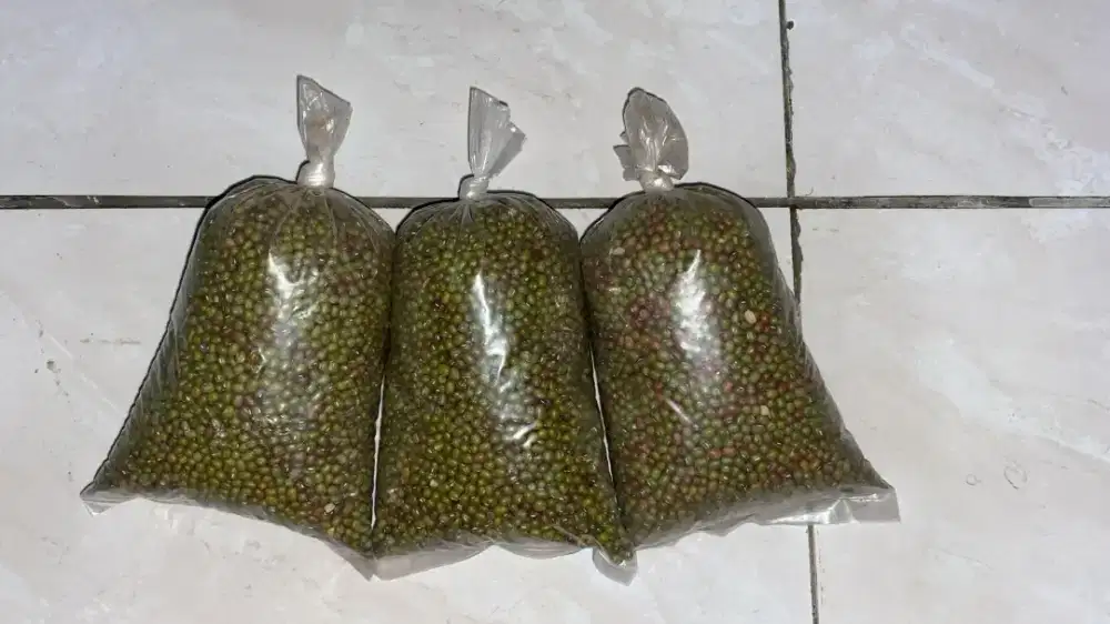 Kacang hijau mentah 1/2  (3pcs)