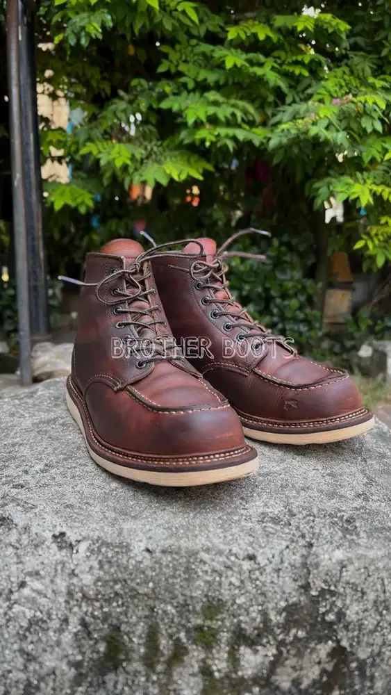 Redwing 1907 moctoe