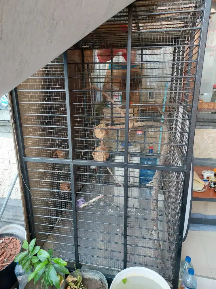 Kandang besi serba guna. a dog kennel or an aviary