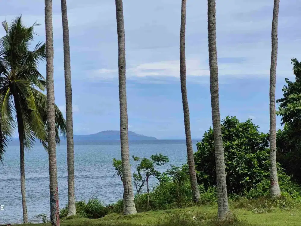 TANAH LOS PANTAI / BEACHFRONT 8 HEKTAR PANTAI CUPEL BALUKRENING JEMBRANA