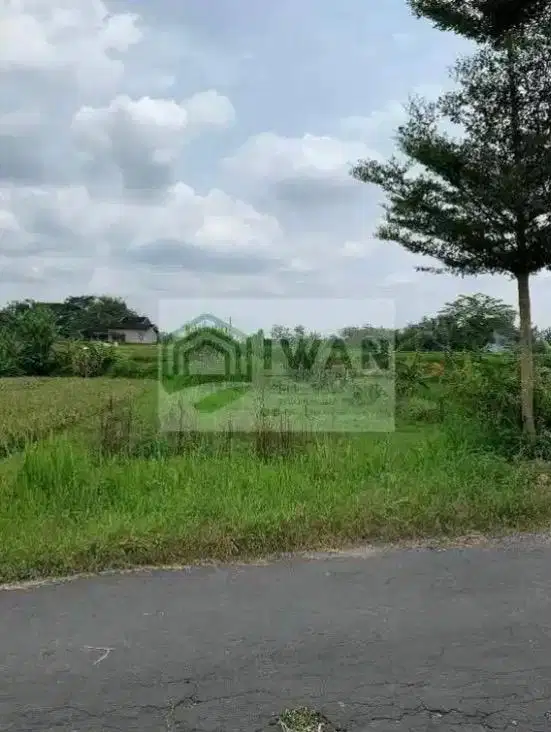 Tanah Luas & Strategis Dapat 2 Akses Jalan