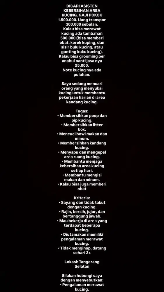 ART MEMBERSIHKAN CAT ROOM KUCING ANABUL