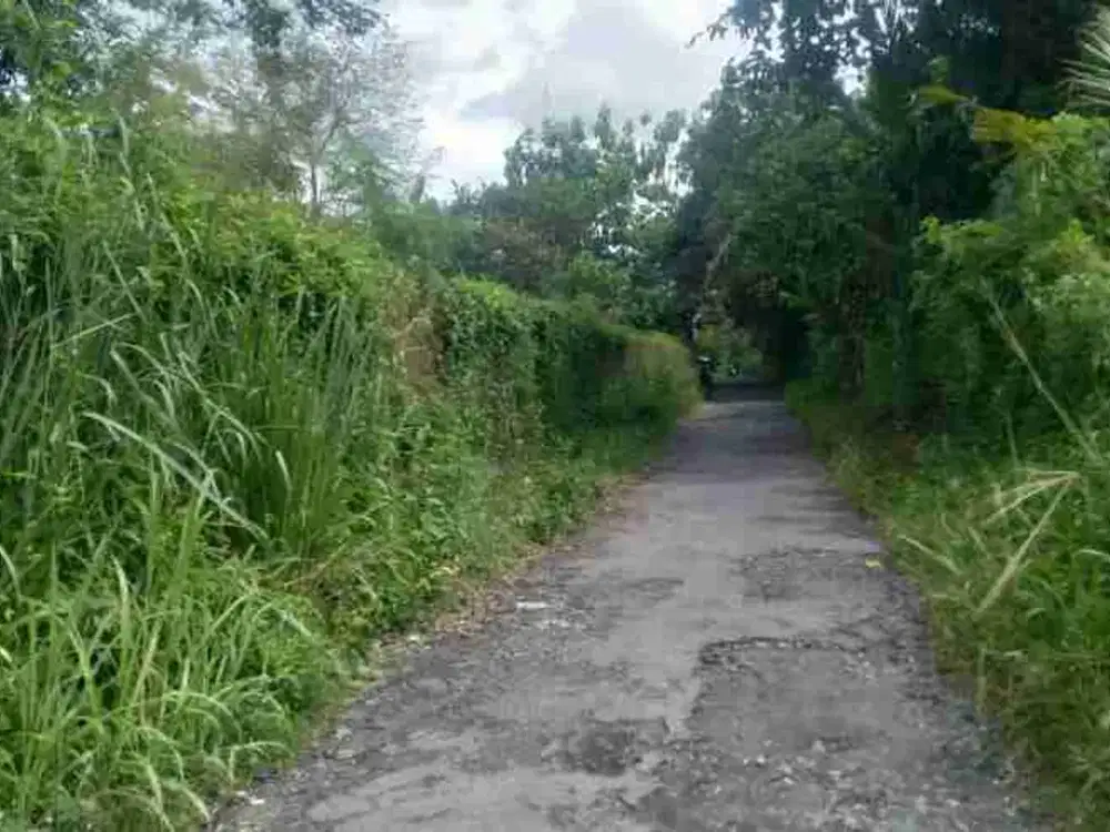 jual lahan pekarangan 1ha di Wedomartani ngemplak