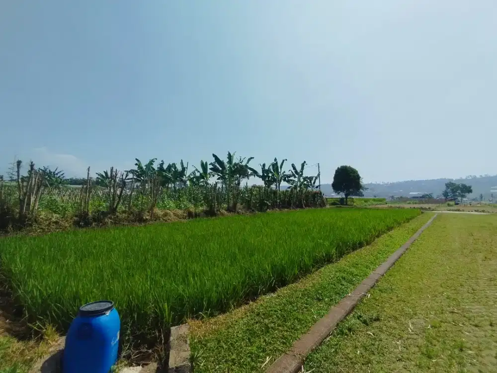 URGENT! DI CARI INVESTOR / PEMBELI UNTUK PENGEMBANGAN PRUMAHAN SUBSIDI