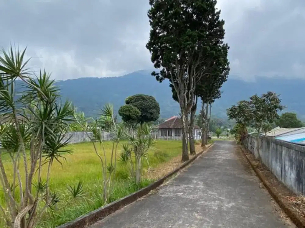 TANAH DI RAYA SINGARAJA BEDUGUL VIEW BUKIT