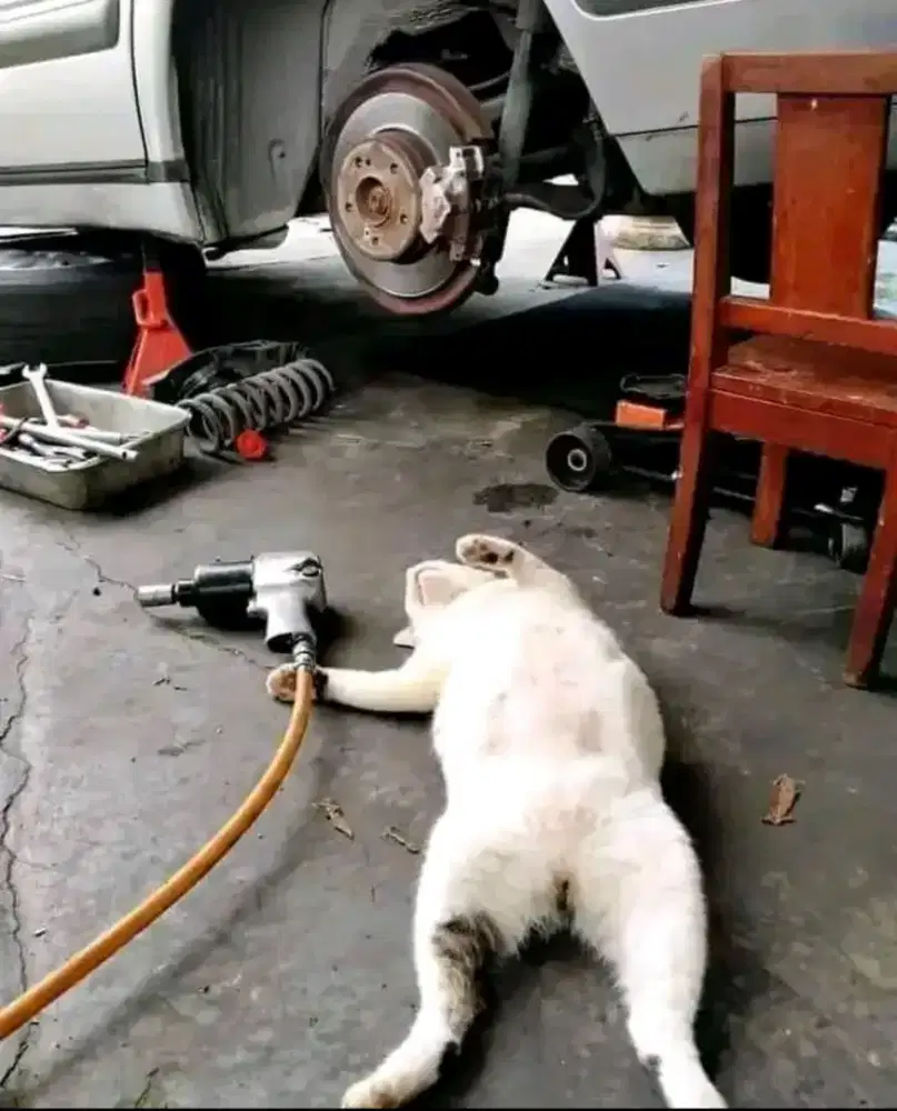 Lagi butuh pekerjaan