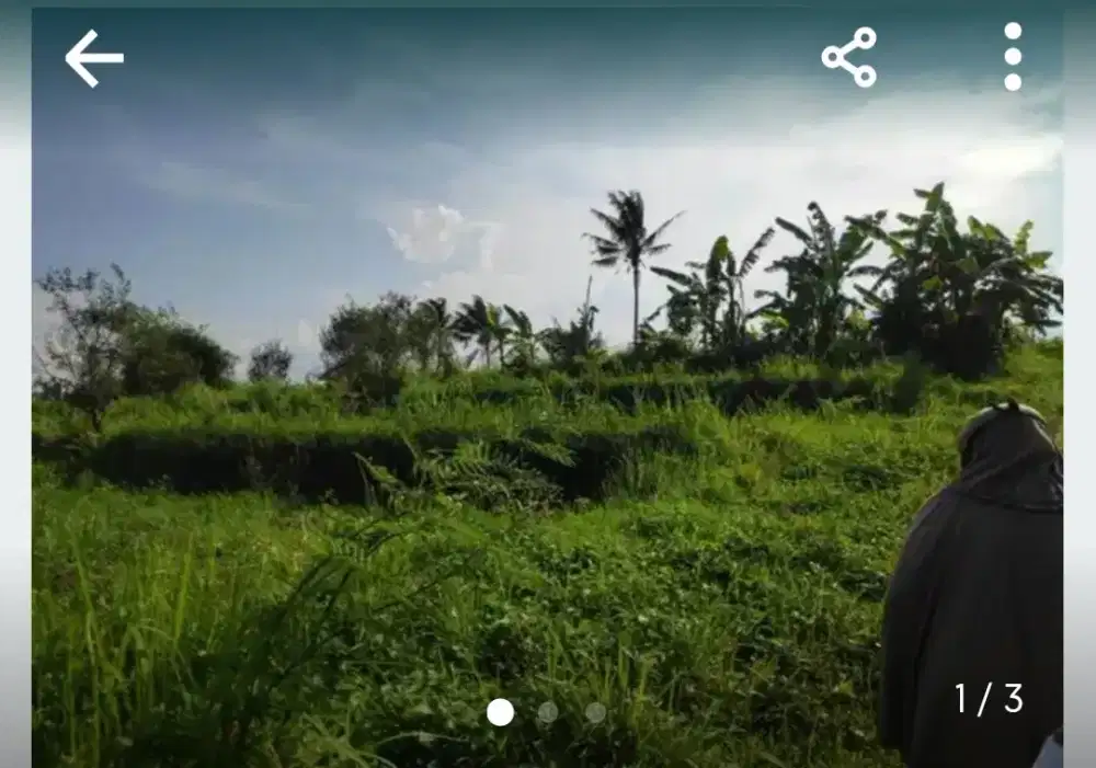 Jual tanah yang asri