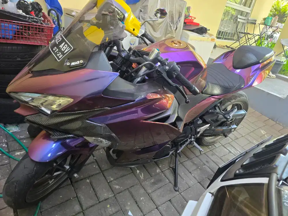 Low KM Ninja 250 2018