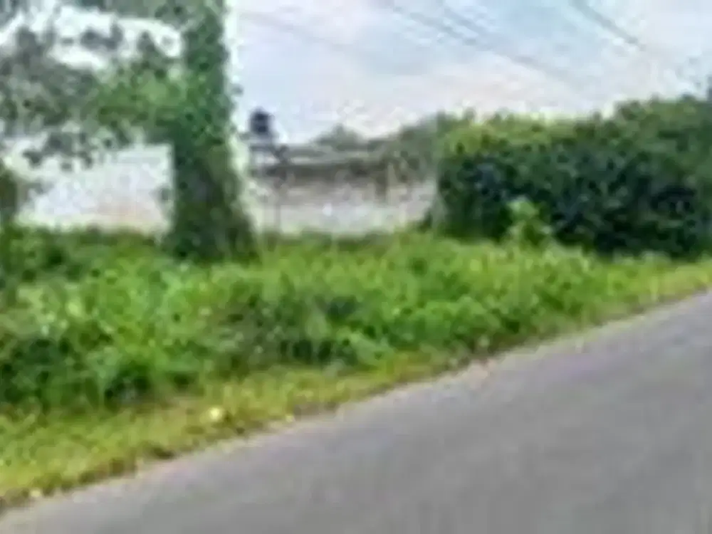 Lahan Produktif di Kawasan Asri Pandowoharjo 1.500 Meter Persegi Ideal untuk Cafe, Kost, atau Bisnis di Pandowoharjo Sleman.