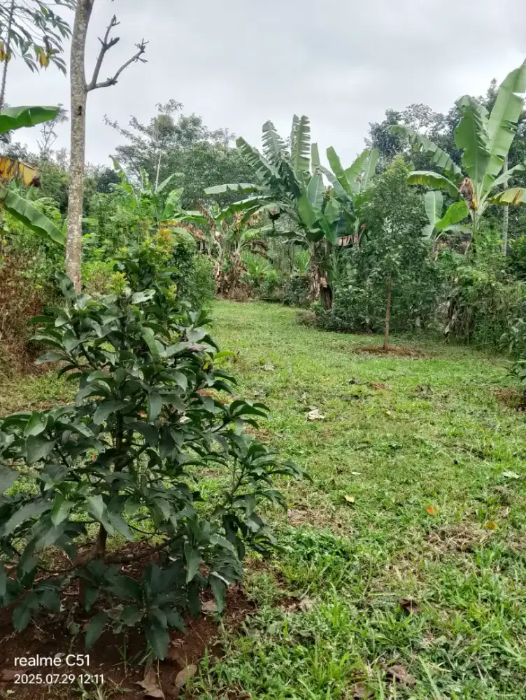 Jual tanah pekarangan siap bangun rumah