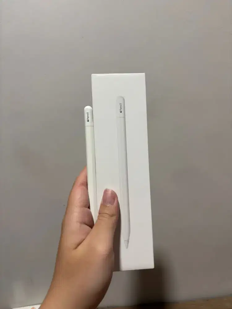 Apple Pencil USB-C Original Resmi (Fullset Box Mulus)
