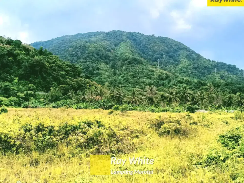 DIjual Tanah di Tarahan, Lampung Selatan (Kode : AY 3539)