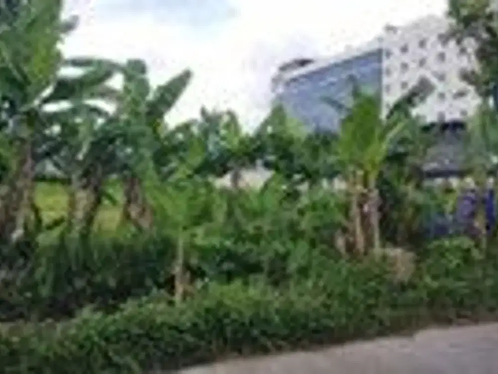 Dijual Tanah 975 Meter Persegi di Lokasi Strategis, Maguwoharjo, Sleman, Dekat Lottemart
