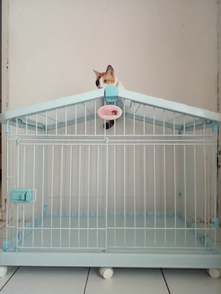 Kandang Kucing Bekas