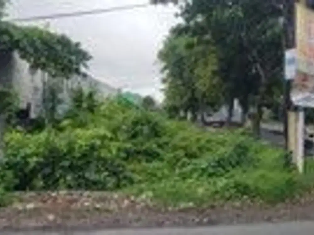 Tanah Sangat Strategis 703 Meter Persegi Di Tirtonirmolo, Kasihan, Bantul