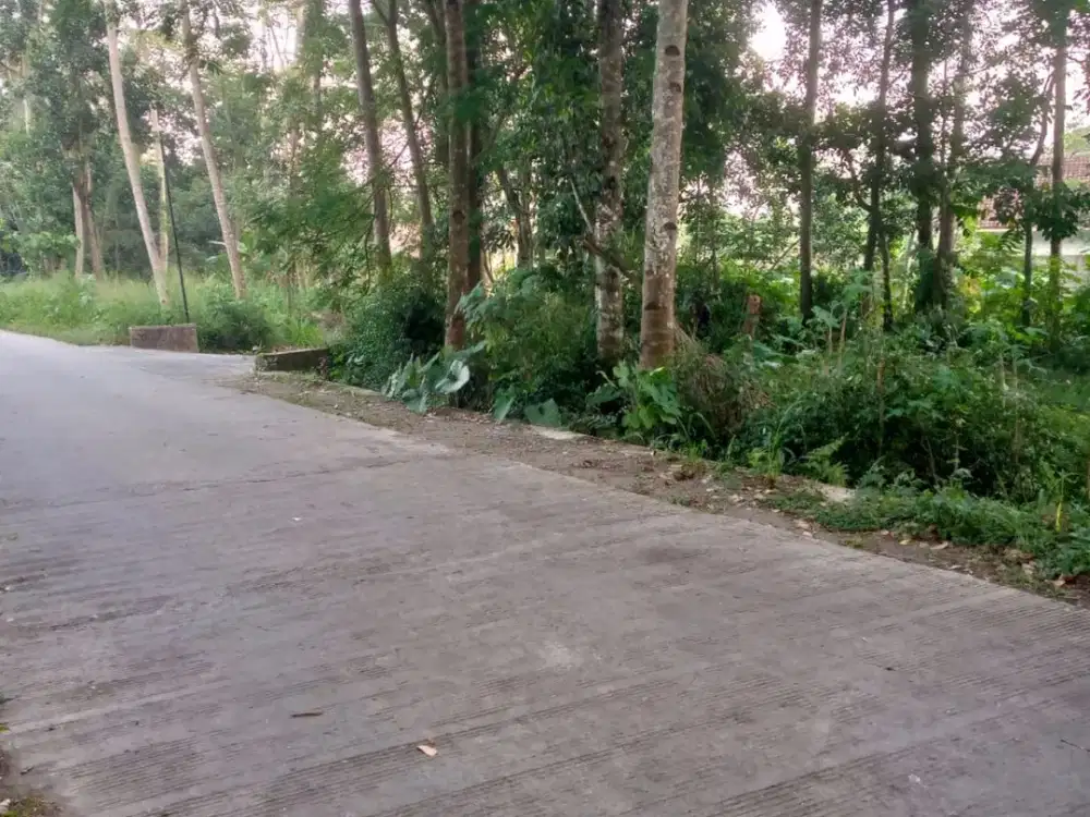 Tanah tegalan murah dekat Pasar Durian Kemalang, Klaten