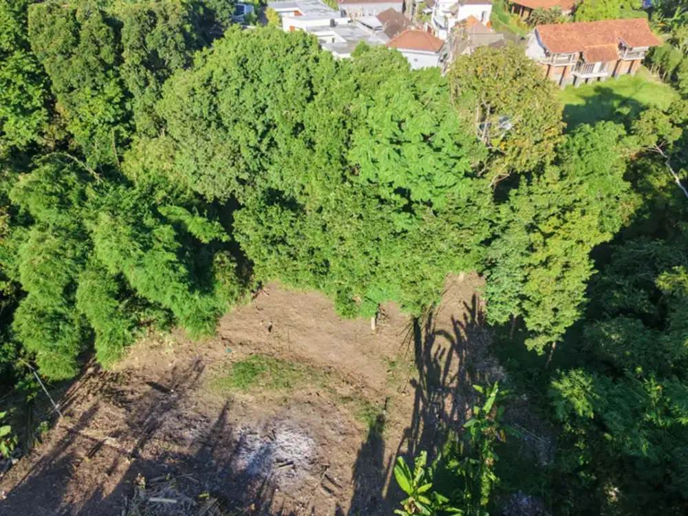 Leasehold - Riverside Land with Mature Trees & Ready Infrastructure in Canggu, Bali