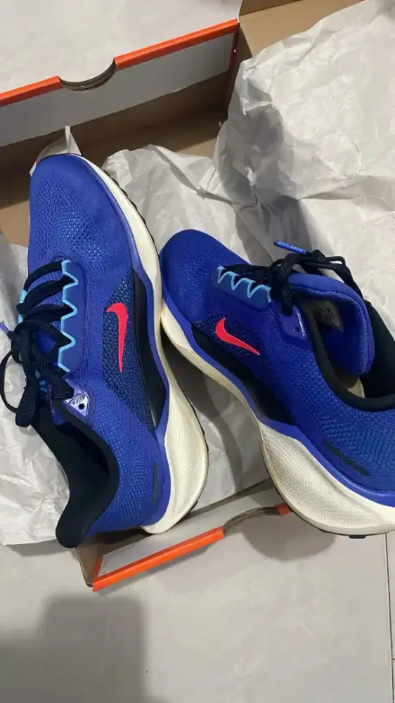 NIKE AIR ZOOM PEGASUS 41