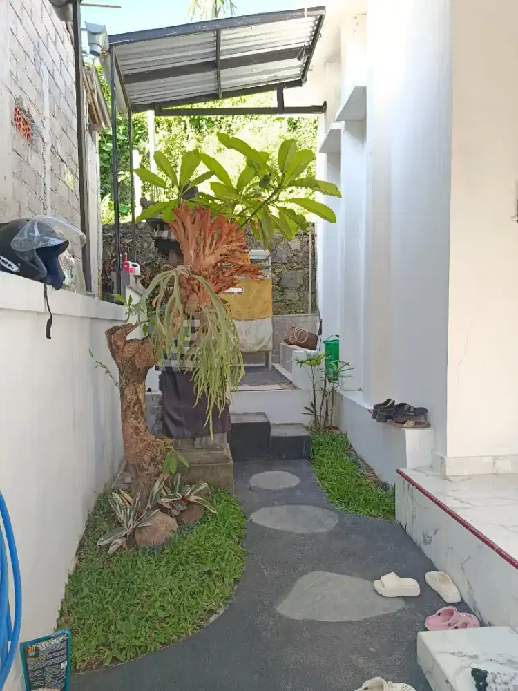 Dikontrakkan rumah