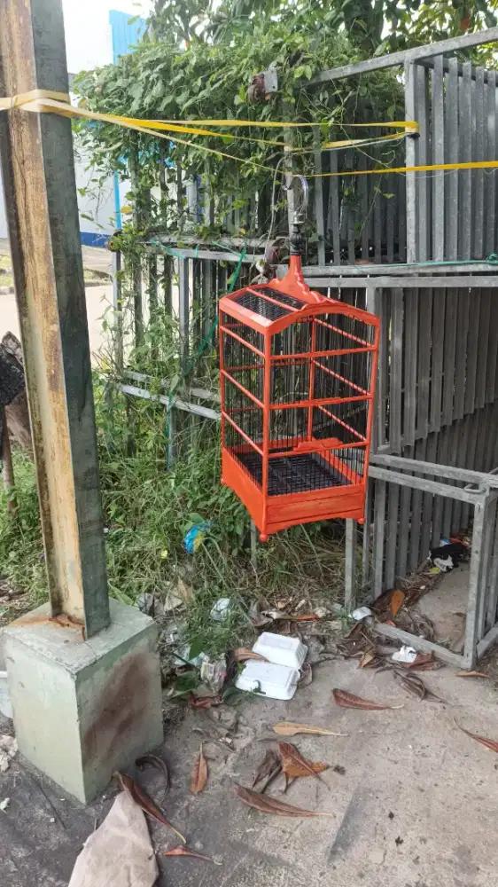 Kandang kotak no 4 ruji bambu