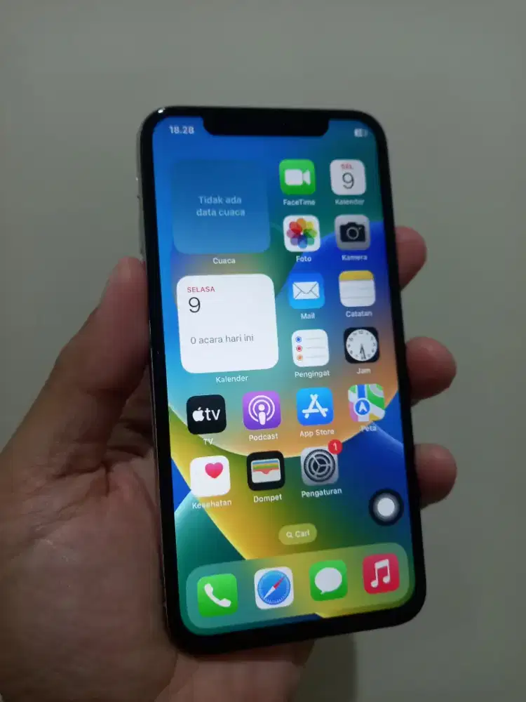 IPhone X Silver 256Gb Ex Inter Fullset normal