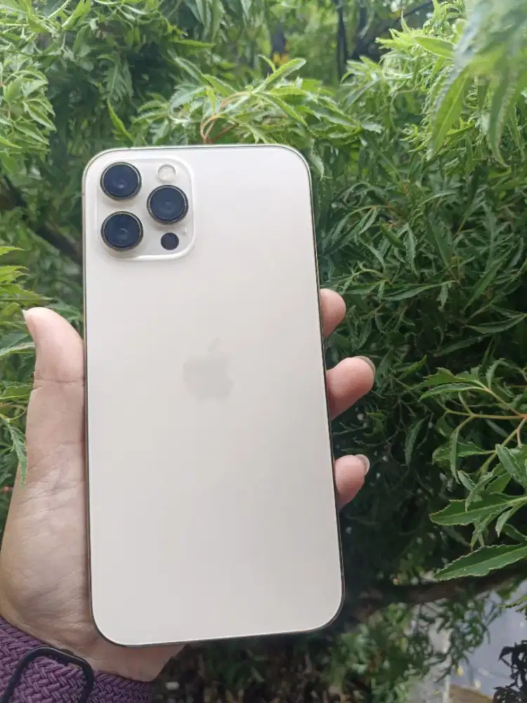 Promo cicilan iPhone 12 Promax